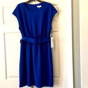 Beautiful royal blue dress by Calvin Klein. New with tags. Belted, cap sleeves.